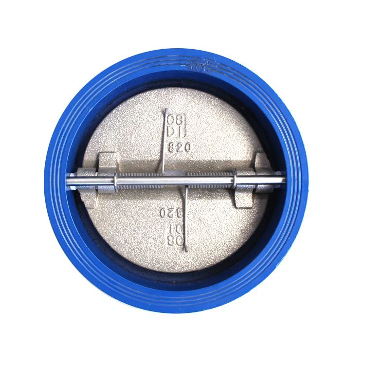Butterfly Type Check Valve