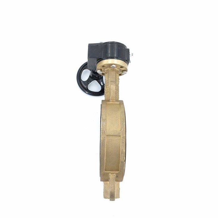 Nickel-aluminum Bronze Wafer Butterfly Valve
